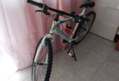 Bicicletta mtb