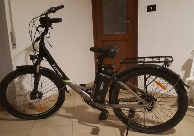 Bicicletta Elettrica