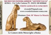 Visite guidate + concerto nella Wunderkammer Roma!