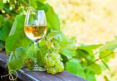 Vendo Vino Bianco alta qualità autoprodotto 2022