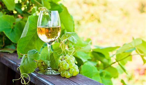 Vendo Vino Bianco alta qualità autoprodotto 2022