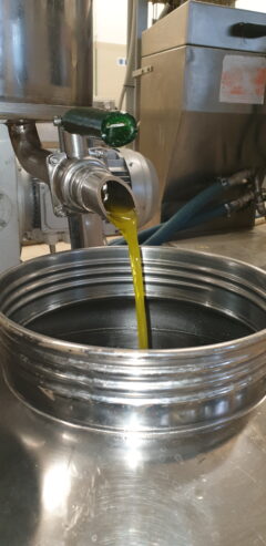 Olio extra vergine d’oliva dop
