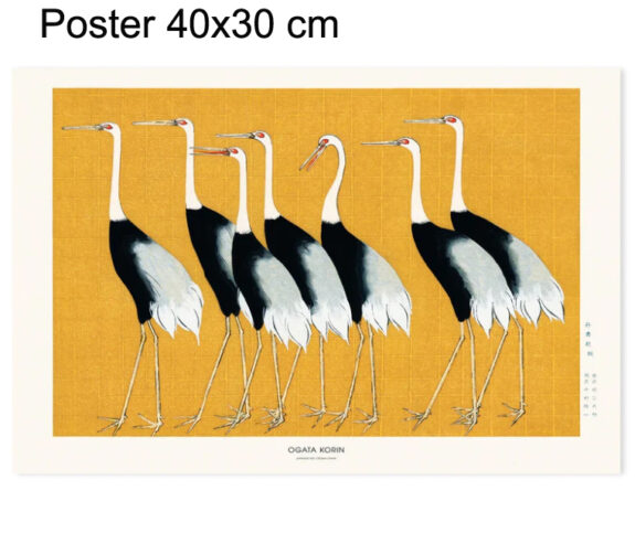 13 Poster e 1 cornice 50×70 cm in rovere
