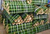 Canne di bambù bambu bamboo